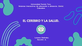 EL CEREBRO Y LA SALUD.
Universidad Fermín Toro.
Sistemas interactivos de educación a distancia. (SAIA)
Cabudare
Luisana Galindez.
Sección: A.
 