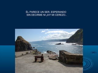 ÉL PARECE UN SER, ESPERANDO
SIN DECIRME NI ¡AY! MI CEREZO..
 
