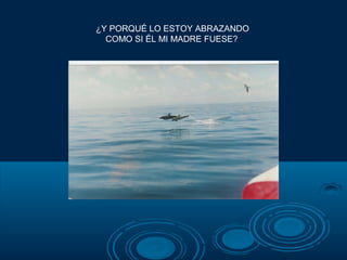 ¿Y PORQUÉ LO ESTOY ABRAZANDO
  COMO SI ÉL MI MADRE FUESE?
 