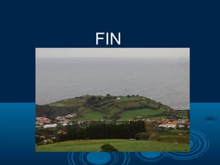 FIN
 
