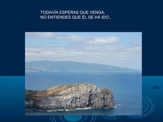 TODAVÍA ESPERAS QUE VENGA.
NO ENTIENDES QUE ÉL SE HA IDO..
 