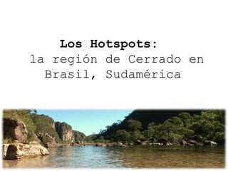 Los Hotspots:
la región de Cerrado en
Brasil, Sudamérica
 