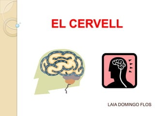 EL CERVELL
LAIA DOMINGO FLOS
 