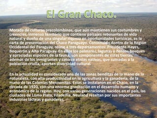 Morada de culturas precolombinas, que aún mantienen sus costumbres y
creencias, inmenso territorio que contiene paisajes rebosantes de vida
natural y dueño de una singular riqueza en oportunidades turísticas, es la
carta de presentación del Chaco Paraguayo. Constituido dentro de la Región
Occidental del Paraguay, reúne a tres departamentos: Presidente Hayes,
Boquerón y Alto Paraguay. En ellos los palmares, lagunas y densos bosques
y apreciadas especies de la fauna, son componentes de estas tierras,
además de los inmigrantes y catorce etnias nativas, que sumadas a la
población criolla, aportan diversidad cultural.
En la actualidad es considerada una de las zonas benditas de la mano de la
naturaleza, con alta productividad en la agricultura y la ganadería, de la
mano de las Colonias Mennonitas. Estas se instalaron en el Chaco, en la
década de 1920, con una enorme gravitación en el desarrollo humano y
económico de la región. Hoy, con varias generaciones nacidos en el país, las
ciudades de Loma Plata, Filadelfia, Neuland resaltan por sus importantes
industrias lácteas y ganaderas.
 