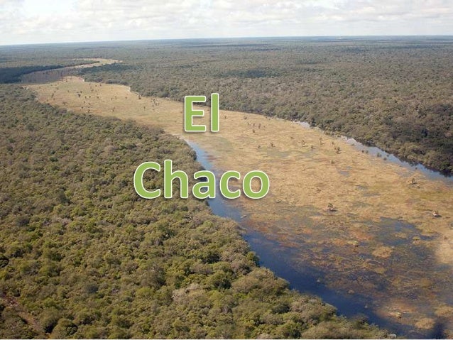 Imagen relacionada
