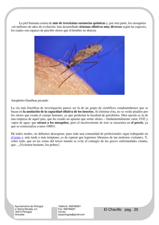 La piel humana consta de más de trescientas sustancias químicas y, por otra parte, los mosquitos
–en millones de años de evolución- han desarrollado sistemas olfativos muy diversos según las especies,
los cuales son capaces de percibir olores que el hombre no detecta.




Anopheles Gambiae picando

La vía más fructífera de investigación parece ser la de un grupo de científicos estadounidenses que se
basan en la anulación de la capacidad olfativa de los insectos. Al eliminar ésta, no se verán atraídos por
los olores que exuda el cuerpo humano, ya que perderían la facultad de percibirlos. Otra opción es la de
una empresa de aquel país, que ha creado un aparato que emite olores – fundamentalmente calor, CO2 y
vapor de agua- que atraen a los mosquitos, pero el inconveniente de éste se encuentra en el precio, ya
que se comercializa a unos 1000 €.

De todos modos, no debemos desesperar, pues toda una comunidad de profesionales sigue trabajando en
el tema y, más tarde o más temprano, es de esperar que logremos librarnos de tan molestos visitantes. Y,
sobre todo, que en las zonas del tercer mundo se evite el contagio de las graves enfermedades citadas,
que…¡Ya tienen bastante, los pobres!.




  Ayuntamiento de Pórtugos          Teléfono: 958766001
  c/ Sierra Nevada, s/n
  18415 Pórtugos
                                    Fax: 958766001
                                    Correo:
                                                                       El Chavillo pag. 20
  Granada                           ascportugos@gmail.com
 
