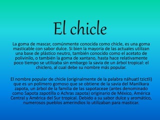 El chicle 
La goma de mascar, comúnmente conocida como chicle, es una goma 
masticable con sabor dulce. Si bien la mayoría de las actuales utilizan 
una base de plástico neutro, también conocido como el acetato de 
polivinilo, o también la goma de xantano, hasta hace relativamente 
poco tiempo se utilizaba sin embargo la savia de un árbol tropical: el 
chiclero, al cual debe su nombre más popular. 
El nombre popular de chicle (originalmente de la palabra náhuatl tzictli) 
que es un polímero gomoso que se obtiene de la savia del Manilkara 
zapota, un árbol de la familia de las sapotaceae (antes denominado 
como Sapota zapotilla o Achras zapota) originario de México, América 
Central y América del Sur tropical. Debido a su sabor dulce y aromático, 
numerosos pueblos amerindios lo utilizaban para masticar. 
 