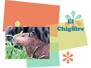 El Chigüire 