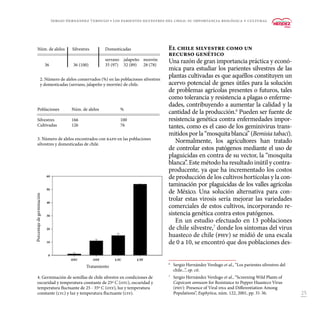 25
El chile silvestre como un
recurso genético
Una razón de gran importancia práctica y econó-
mica para estudiar los parientes silvestres de las
plantas cultivadas es que aquéllos constituyen un
acervo potencial de genes útiles para la solución
de problemas agrícolas presentes o futuros, tales
como tolerancia y resistencia a plagas o enferme-
dades, contribuyendo a aumentar la calidad y la
cantidad de la producción.6
Pueden ser fuente de
resistencia genética contra enfermedades impor-
tantes, como es el caso de los geminivirus trans-
mitidosporla“mosquitablanca”(Bemisiatabaci).
Normalmente, los agricultores han tratado
de controlar estos patógenos mediante el uso de
plaguicidas en contra de su vector, la “mosquita
blanca”. Este método ha resultado inútil y contra-
producente, ya que ha incrementado los costos
de producción de los cultivos hortícolas y la con-
taminación por plaguicidas de los valles agrícolas
de México. Una solución alternativa para con-
trolar estas virosis sería mejorar las variedades
comerciales de estos cultivos, incorporando re-
sistencia genética contra estos patógenos.
En un estudio efectuado en 13 poblaciones
de chile silvestre,7
donde los síntomas del virus
huasteco de chile (phv) se midió de una escala
de 0 a 10, se encontró que dos poblaciones des-
2. Número de alelos conservados (%) en las poblaciones silvestres
y domesticadas (serrano, jalapeño y morrón) de chile.
3. Número de alelos encontrados con rapd en las poblaciones
silvestres y domesticadas de chile.
4. Germinación de semillas de chile silvestre en condiciones de
oscuridad y temperatura constante de 25º C (otc), oscuridad y
temperatura fluctuante de 25 - 35º C (otf), luz y temperatura
constante (ltc) y luz y temperatura fluctuante (ltf).
6
	 Sergio Hernández Verdugo et al., “Los parientes silvestres del
chile...”, op. cit.
7
	 Sergio Hernández Verdugo et al., “Screening Wild Plants of
Capsicum annuum for Resistance to Pepper Huasteco Virus
(phv): Presence of Viral dna and Differentiation Among
Populations”, Euphytica, núm. 122, 2001, pp. 31-36.
Núm. de alelos	 Silvestres	 Domesticadas
		 serrano	jalapeño	morrón
36	 36 (100)	 35 (97)	 32 (89)	 28 (78)
Poblaciones	 Núm. de alelos	 %
Silvestres	166	 100
Cultivadas	126	 76
Porcentajedegerminación
Tratamiento
Sergio Hernández Verdugo • Los parientes silvestres del chile: su importancia biológica y cultural
 