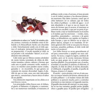 35
condimentoensalsasyen“moles”devariadoscolo-
res, aromas y texturas; en bebidas como el chi-
leatole y el chilcacalhuati, hecho con chocolate
y chile. Estrechamente unido con el chile apa-
rece el molcajete (principal herramienta para
su preparación). A escala mundial el chile, ya
sea picante o de variedades “dulces”, es el con-
dimento más utilizado.
Cabe notar que en México existen alrededor
de ciento treinta variedades de chiles de dife-
rentes tamaños, colores, sabores y formas; que
cada una se puede consumir verde, madura o
seca y en muchos casos pueden usarse crudas,
guisadas o en encurtidos, lo que genera un
conjunto de enorme diversidad. Según el pla-
tillo de que se trate, unos son más adecuados
que otros y caracterizan y hacen único el sabor
de ese platillo.
Una distinción importante en los chiles es si
son frescos o secos.
Los principales chiles frescos son: el chilaca,
el güero, el habanero, el jalapeño o cuaresme-
ño y sus numerosas variedades, el manzano, el
poblano verde o rojo, el serrano, el muy picante
x-cat-ik (rubio) yucateco y los diversos pimien-
tos morrones. Hay datos curiosos, como que el
chile habanero no es cubano; que de todos
los chiles el poblano —o chile de agua— es el
más abundante y el que se usa en mayor nú-
mero de formas; que al secarse, el manzano se
convierte en cascabel; y que por su parte el po-
blano verde y rojo se transformarán en el ancho
y el mulato; que los morrones —verdes, rojos,
amarillos, anaranjados— carnosos y de gusto
dulce, se difundieron con rapidez en España y
toda Europa, y que en México no se usan en
platos típicos, aunque sí en ensaladas. El tér-
mino general chile verde se usa para los frescos
(serrano, amashito, poblano, el chile verde del
norte y el yucateco).
Los chiles frescos se secan generalmente al
sol para conservarlos y ampliar sus usos culi-
narios. Ya secos, y según la región, cambian de
nombre, pero en la cocina mexicana forman
todo un gran grupo sin el cual no existirían
muchos platillos. Los principales son: el ancho,
el mulato, el cascabel, el catarina, el chilcoste, el
chipotle, el chile de árbol, el morita ahumado,
el chilhuacle, el guajillo, el pasilla, el pasilla de
Oaxaca, el puya y el piquín.
El ancho —poco picante y tal vez el más usa-
do y en mayor número de formas, además de en
el mole poblano— y el mulato vienen del chile
poblano y se parecen mucho, pero a contraluz
el primero es rojo intenso y el segundo marrón.
El guajillo desciende del marisol y es muy popu-
lar en sus tres variantes: guajillo ancho, guajillo
chico y guajillo puya. El pasilla (por arrugado)
Héctor Bourges Rodríguez • El chile en la alimentación humana
 