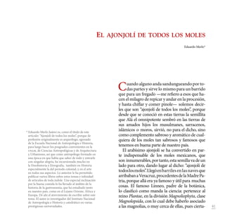 41
Cuando alguno anda sandungueando por to-
das partes y sirve lo mismo para un barrido
que para un fregado —me refiero a esos que ha-
cen el milagro de repicar y andar en la procesión,
y hasta chiflar y comer pinole— solemos decir-
les que son “ajonjolí de todos los moles”, porque
desde que se conoció en estas tierras la semillita
que Alá el omnipotente sembró en las tierras de
sus amados hijos los musulmanes, sarracenos,
islámicos o moros, sirvió, no para el dicho, sino
como complemento sabroso y aromático de cual-
quiera de los moles tan sabrosos y famosos que
tenemos en buena parte de nuestro país.
El arabísimo ajonjolí se ha convertido en par-
te indispensable de los moles mexicanos, que
son innumerables,portanto,estasemillavadeun
lado para otro, dando lugar al dicho: “ajonjolí de
todoslosmoles”.Llegóenbarrilesenlasnavesque
arribabanaVeracruz,procedentesdelaMadrePa-
tria, porque allá era ya famoso y útil para muchas
cosas. El famoso Linneo, padre de la botánica,
lo clasificó como manda la ciencia: pertenece al
reino Plantae, en la división Magnoliophyta, clase
Magnolopsida, con lo cual debe haberlo asociado
a las magnolias, o muy cerca de ellas, pues cierta-
El ajonjolí de todos los moles
Eduardo Merlo*
* Eduardo Merlo Juárez es, como el título de este
artículo: “Ajonjolí de todos los moles”, porque de
profesión originalmente es arqueólogo, egresado
de la Escuela Nacional de Antropología e Historia,
para luego hacer los posgrados convenientes en la
unam, de Ciencias Antropológicas y de Arquitectura
y Urbanismo, así que como antropólogo formado en
una época en que había que saber de todo y entrarle
con singular alegría, ha incursionado mucho en
la Etnohistoria y Etnografía, también en Historia
especialmente la del periodo colonial, y en el arte
en todos sus aspectos. Lo anterior le ha permitido
publicar varios libros sobre estos temas e infinidad
de artículos de toda índole. Una especial inclinación
por la buena comida lo ha llevado al ámbito de la
historia de la gastronomía, que ha estudiado tanto
en nuestro país, como en el Lejano Oriente, África y
Europa. De ahí el atrevimiento de escribir sobre este
tema. El autor es investigador del Instituto Nacional
de Antropología e Historia y catedrático en varias
prestigiosas universidades.
 