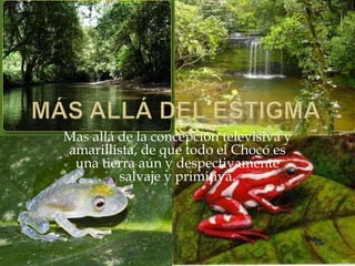 Más allá dEL ESTIGMAMas allá de la concepción televisiva y amarillista, de que todo el Chocó es una tierra aún y despectivamente salvaje y primitiva. 