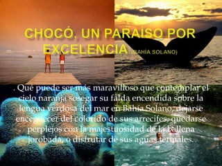 Chocó, Un paraíso por excelencia (bahía solano). Qué puede ser más maravilloso que contemplar el cielo naranja sosegar su falda encendida sobre la lengua verdosa del mar en Bahía Solano, dejarse enceguecer del colorido de sus arrecifes, quedarse perplejos con la majestuosidad de la ballena jorobada, o disfrutar de sus aguas termales.