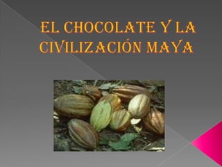 EL CHOCOLATE y la civilización maya  