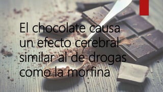 El chocolate causa
un efecto cerebral
similar al de drogas
como la morfina
 