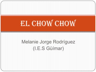 El Chow Chow

Melanie Jorge Rodríguez
    (I.E.S Güímar)
 