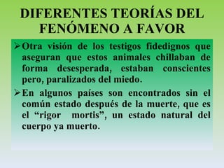 DIFERENTES TEORÍAS DEL FENÓMENO A FAVOR Otra visión de los testigos fidedignos que aseguran que estos animales chillaban de forma desesperada, estaban conscientes pero, paralizados del miedo.  En algunos países son encontrados sin el común estado después de la muerte, que es el “rigor  mortis”, un estado natural del cuerpo ya muerto. 