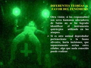 DIFERENTES TEORÍAS  A  FAVOR DEL FENÓMENO Otra visión; si los responsables son seres humanos adoradores de Satán no se ha logrado identificar el instrumento quirúrgico  utilizado en los ataques. Si es otro animal depredador perteneciente a la fauna silvestre, haría incisiones, que supuestamente serían entre células; algo que nada conocido puede realizar. 