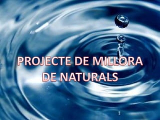PROJECTE DE MILLORA DE NATURALS 