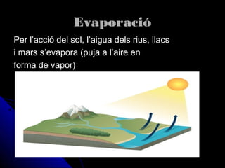 EvaporacióEvaporació
Per l’acció del sol, l’aigua dels rius, llacsPer l’acció del sol, l’aigua dels rius, llacs
i mars s’evapora (puja a l’aire eni mars s’evapora (puja a l’aire en
forma de vapor)forma de vapor)
 