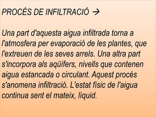 PROCÉS DE INFILTRACIÓ 
Una part d'aquesta aigua infiltrada torna a
l'atmosfera per evaporació de les plantes, que
l'extreuen de les seves arrels. Una altra part
s'incorpora als aqüífers, nivells que contenen
aigua estancada o circulant. Aquest procés
s'anomena infiltració. L'estat físic de l'aigua
continua sent el mateix, líquid.
 