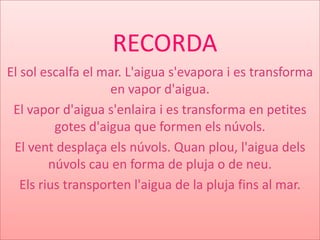 El sol escalfa el mar. L'aigua s'evapora i es transforma
en vapor d'aigua.
El vapor d'aigua s'enlaira i es transforma en petites
gotes d'aigua que formen els núvols.
El vent desplaça els núvols. Quan plou, l'aigua dels
núvols cau en forma de pluja o de neu.
Els rius transporten l'aigua de la pluja fins al mar.
RECORDA
 