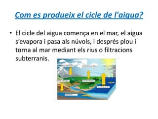 Com es produeix el cicle de l'aigua?
• El cicle del aigua comença en el mar, el aigua
s’evapora i pasa als núvols, i després plou i
torna al mar mediant els rius o filtracions
subterranis.
 