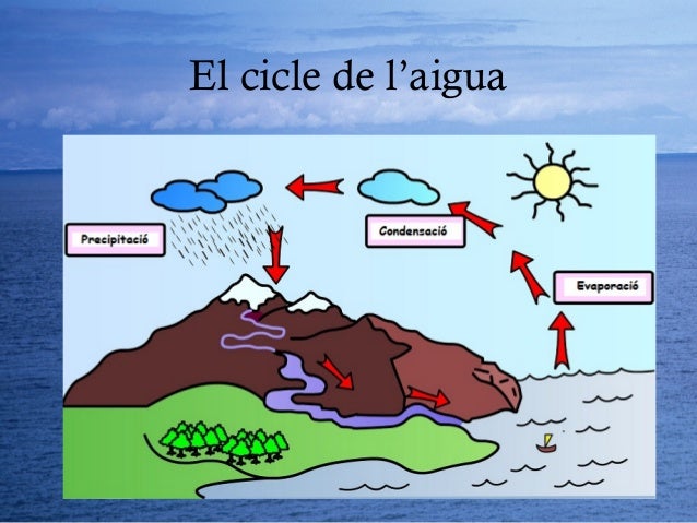 Resultado de imagen de el cicle de l'aigua