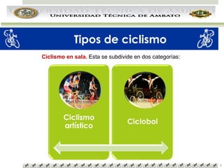 Tipos de ciclismo
Ciclismo en sala. Esta se subdivide en dos categorías:

8

 