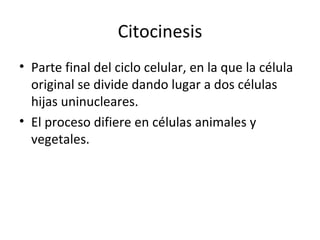 Citocinesis Parte final del ciclo celular, en la que la célula original se divide dando lugar a dos células hijas uninucleares. El proceso difiere en células animales y vegetales. 