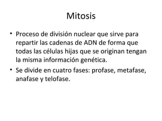 Mitosis Proceso de división nuclear que sirve para repartir las cadenas de ADN de forma que todas las células hijas que se originan tengan la misma información genética.  Se divide en cuatro fases: profase, metafase, anafase y telofase. 