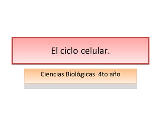 El ciclo celular. Ciencias Biológicas  4to año 