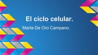 El ciclo celular.
Marta De Oro Campano.

 