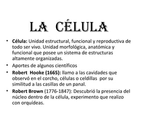 La céLuLa
• Célula: Unidad estructural, funcional y reproductiva de
todo ser vivo. Unidad morfológica, anatómica y
funcional que posee un sistema de estructuras
altamente organizadas.
• Aportes de algunos científicos
• Robert Hooke (1665): llamo a las cavidades que
observó en el corcho, células o celdillas por su
similitud a las casillas de un panal.
• Robert Brown (1776-1847): Descubrió la presencia del
núcleo dentro de la célula, experimento que realizo
con orquídeas.
 