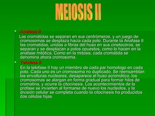 Anafase II Las cromátidas se separan en sus centrómeros, y un juego de cromosomas se desplaza hacia cada polo. Durante la Anafase II las cromatidas, unidas a fibras del huso en sus cinetocóros, se separan y se desplazan a polos opuestos, como lo hacen en la anafase mitótica. Como en la mitosis, cada cromátida se denomina ahora cromosoma. Telofase II En la telofase II hay un miembro de cada par homologo en cada polo. Cada uno es un cromosoma no duplicado. Se reensamblan las envolturas nucleares, desaparece el huso acromático, los cromosomas se alargan en forma gradual para formar hilos de cromatina, y ocurre la citocinesis. Los acontecimientos de la profase se invierten al formarse de nuevo los nucleolos, y la división celular se completa cuando la citocinesis ha producidos dos células hijas.  MEIOSIS II 