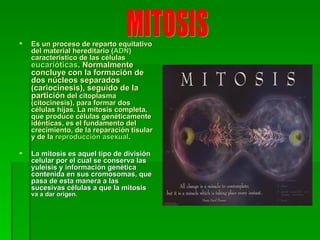 Es un proceso de reparto   equitativo del material hereditario ( ADN ) característico de las células  eucarióticas . Normalmente concluye con la formación de dos núcleos separados (cariocinesis), seguido de la partición  del citoplasma (citocinesis), para formar dos células hijas. La mitosis completa, que produce células genéticamente idénticas, es el fundamento del crecimiento, de la reparación tisular y de la  reproducción asexual .  La mitosis es aquel tipo de división celular por el cual se conserva las yuleisis y información genética contenida en sus cromosomas, que pasa de esta manera a las sucesivas células   a que la mitosis  va a dar origen.  MITOSIS 