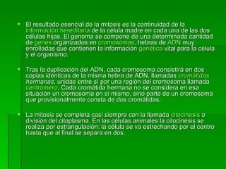 El resultado esencial de la mitosis es la continuidad de la  información hereditaria  de la célula madre en cada una de las dos células hijas. El genoma se compone de una determinada cantidad de  genes  organizados en  cromosomas , hebras de  ADN  muy enrolladas que contienen la información  genética  vital para la célula y el organismo.  Tras la duplicación del ADN, cada cromosoma consistirá en dos copias idénticas de la misma hebra de ADN, llamadas  cromátidas  hermanas , unidas entre sí por una región del cromosoma llamada  centrómero . Cada cromátida hermana no se considera en esa situación un cromosoma en sí mismo, sino parte de un cromosoma que provisionalmente consta de dos cromátidas.  La mitosis se completa casi siempre con la llamada  citocinesis  o división del citoplasma. En las células animales la citocinesis se realiza por estrangulación: la célula se va estrechando por el centro hasta que al final se separa en dos.  