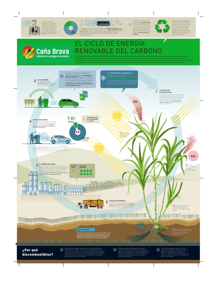 El ciclo de energía renovable del carbono Infografía 2011