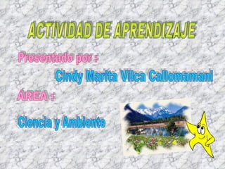 ACTIVIDAD DE APRENDIZAJE Presentado por : Cindy Marita Vilca Callomamani ÁREA : Ciencia y Ambiente 