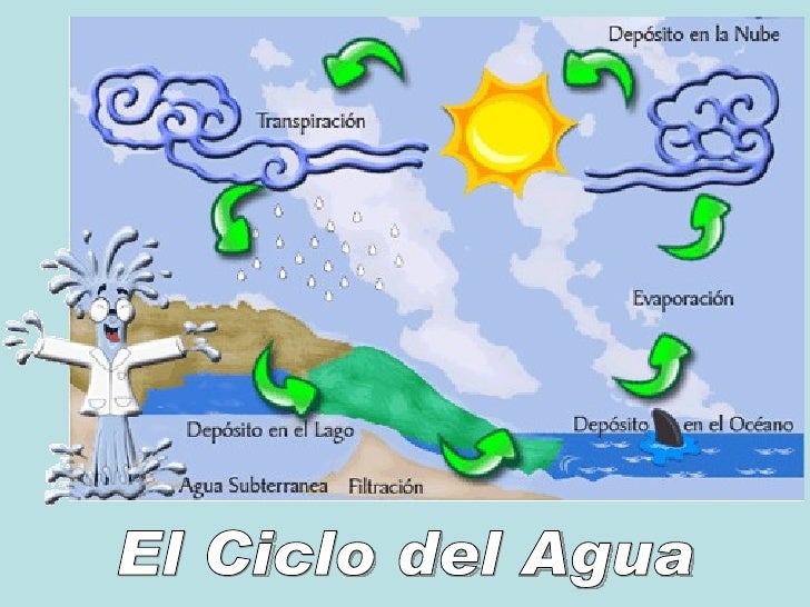 Cual Es El Nombre Cientifico Del Agua
