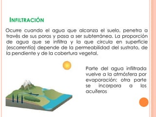 INFILTRACIÓN
Ocurre cuando el agua que alcanza el suelo, penetra a
través de sus poros y pasa a ser subterránea. La proporción
de agua que se infiltra y la que circula en superficie
(escorrentía) depende de la permeabilidad del sustrato, de
la pendiente y de la cobertura vegetal.


                                 Parte del agua infiltrada
                                 vuelve a la atmósfera por
                                 evaporación; otra parte
                                 se   incorpora    a    los
                                 acuíferos
 