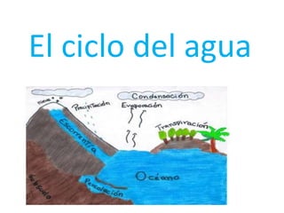 El ciclo del agua
 