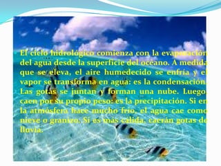  El ciclo hidrológico comienza con la evaporación
del agua desde la superficie del océano. A medida
que se eleva, el aire humedecido se enfría y el
vapor se transforma en agua: es la condensación.
Las gotas se juntan y forman una nube. Luego,
caen por su propio peso: es la precipitación. Si en
la atmósfera hace mucho frío, el agua cae como
nieve o granizo. Si es más cálida, caerán gotas de
lluvia.
 
