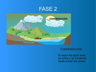 FASE 2
CONDENSACIÓN
CONDENSACIÓN
El vapor del agua sube,
se enfría y se condensa
hasta formar las nubes.
