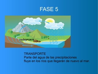 FASE 5
TRANSPORTE
TRANSPORTE
Parte del agua de las precipitaciones
fluye en los ríos que llegarán de nuevo al mar.