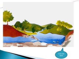 Ciclo del
agua
 