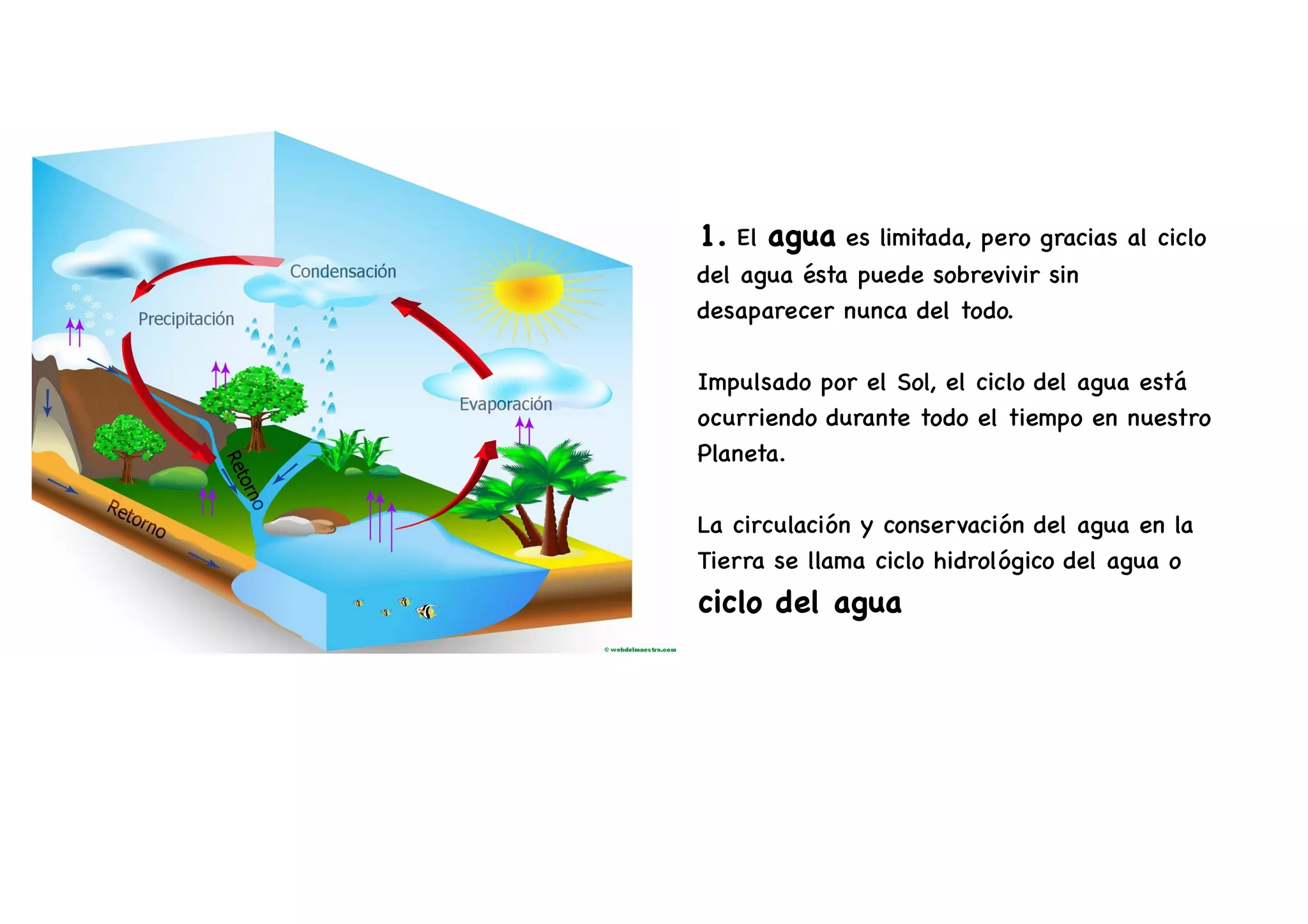 El ciclo del agua | PDF
