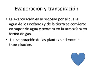 Evaporación y transpiración
• La evaporación es el proceso por el cual el
agua de los océanos y de la tierra se convierte
en vapor de agua y penetra en la atmósfera en
forma de gas.
• La evaporación de las plantas se denomina
transpiración.
 