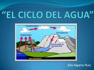 “EL CICLO DEL AGUA” Elia Algarra Ruiz 