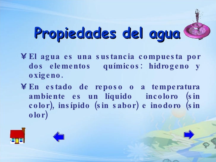 Importancia del agua